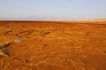 The dry salt crust of the salt lake is colored red from dust and orange salts. The high walls of the Rift Valley are in the background. The the right; the eroded salt towers on the slopes of Dallol hill are seen. (Photo: Tom Pfeiffer)