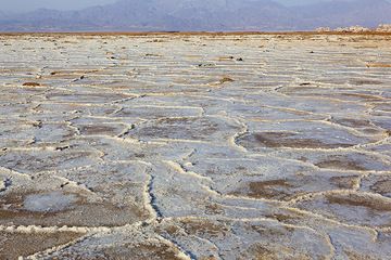 The dried crust of the salt lake Assale in the northn Danakil depression in Ethiopia near the Eritrean boundary. The salt here is several kilometers thick and the result of larg-scale evaporation of sea water when the area now lying at 130 m below sea level had access to the Red Sea. The deep trench, or graben, where the lake is located was formed by giant tectonic forces ripping Africa apart along the Rift Valley. (Photo: Tom Pfeiffer)
