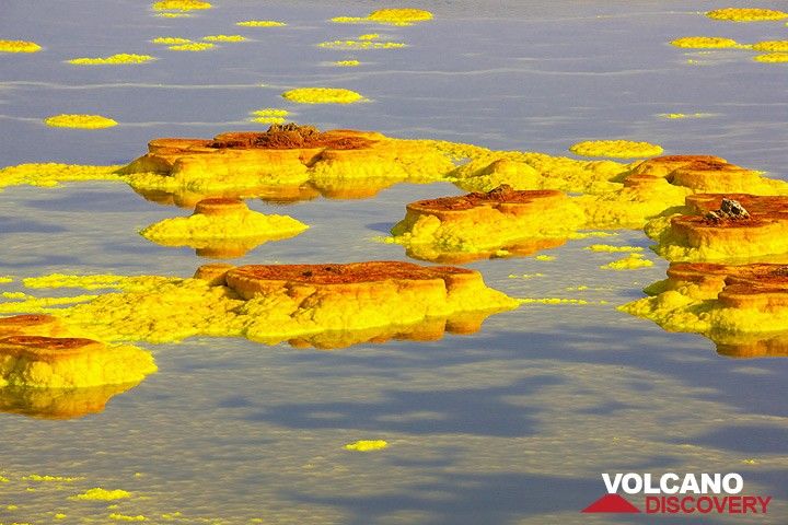 Yellow salt islands (Photo: Tom Pfeiffer)