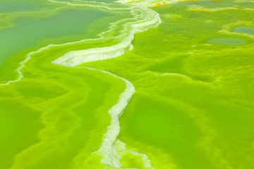 dallol_i41430.jpg (Photo: Tom Pfeiffer)