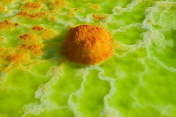 Orange salt "cake" in the midst of a green acid salt pond at Dallol. (Photo: Tom Pfeiffer)