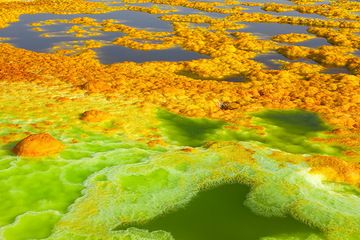 Crêtes de sel colorées séparant les étangs d'eau verte et bleue du volcan Dallol. (Photo: Tom Pfeiffer)