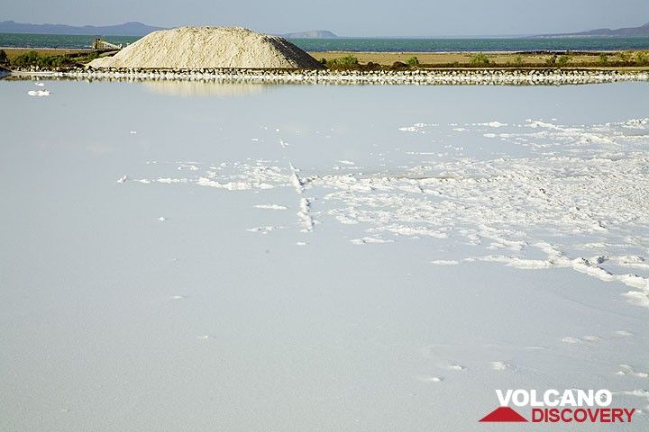 Afdera salt lake (Photo: Tom Pfeiffer)