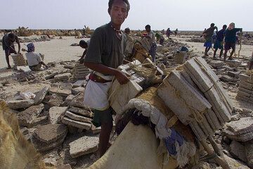 Cargando los camellos. Es importante que los bloques queden bien atados y colocados en la posición correcta. (Photo: Tom Pfeiffer)