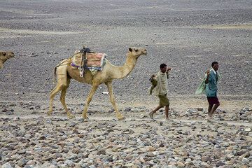 ethiopia_e37212.jpg (Photo: Tom Pfeiffer)