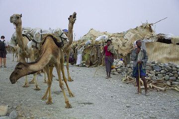 Am Abend haben die Karavanen wieder Ahmed Ela erreicht, aber hier wird nur höchstens ein kurzer Halt zur Versorgung mit Wasser und Nahrung gemacht. (Photo: Tom Pfeiffer)