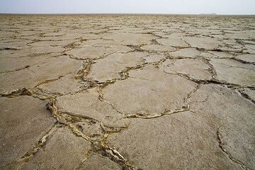 Lake Assale - una gran extensión de sal que se ha depositado por innumerables invasiones de agua de mar. En algunos lugares, la sal es de 5 kilómetros de espesor. Los Afar han estado extrayendo sal aquí durante siglos. (Photo: Tom Pfeiffer)