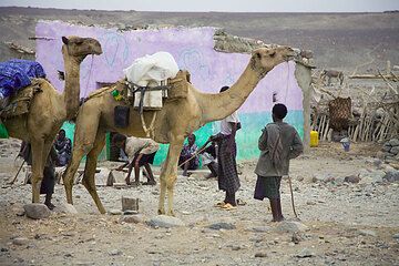 In der kleinen Stadt Ahmed Ela wohnen die Arbeiter des Salzsees. Die Kamelkaravanen passieren den Ort auf dem langen Weg von und nach Mekele.  (Photo: Tom Pfeiffer)