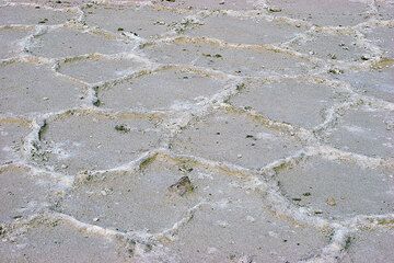 Les plaques à peu près hexagonales de croûte de sel sur le lac Assale. (Photo: Tom Pfeiffer)