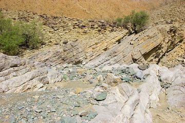 The first signs of water come in the form of green trees. (Photo: Tom Pfeiffer)