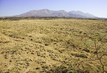 The truncated cone of Fantale volcano. (Photo: Tom Pfeiffer)