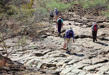 1047m a.s.l. We start hiking uphill on dry riverbeds and through more or less dense bush. (Photo: Tom Pfeiffer)