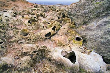 Wet fumaroles have crates a field with fragile "egg-like" salt structures on the crater rim. (Photo: Tom Pfeiffer)