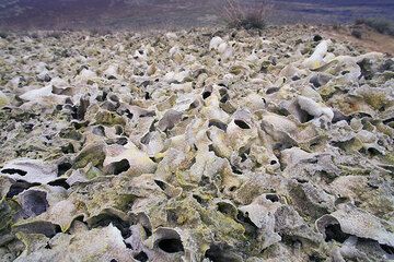 Wet fumaroles have crates a field with fragile "egg-like" salt structures on the crater rim. (Photo: Tom Pfeiffer)