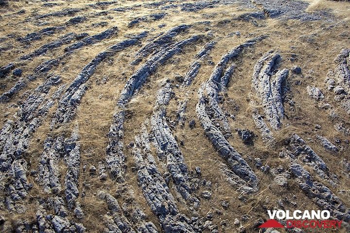 Blond Pele's hair is all over the place as here on nice pahoehoe lava folds of older lava. The recent activity of the lava lake creates so much of it that it forms a layer. (Photo: Tom Pfeiffer)