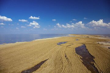 Eine schwimmende Masse aus dichtem Salzschaum hat sich in der Mitte des Sees gebildet. (Photo: Tom Pfeiffer)