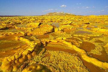 Yellow salt crust at Dallol (Photo: Tom Pfeiffer)