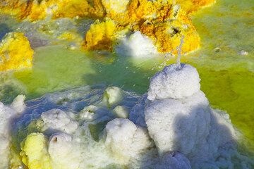 "Erupting" salt spring (Photo: Tom Pfeiffer)
