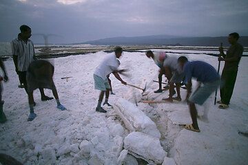 It's 6am, but we decided to join some workers in the salines. It's a tough job to harvest the salt from one of the salines, where the water has evaporated and left a thick crust of pure salt. (Photo: Tom Pfeiffer)