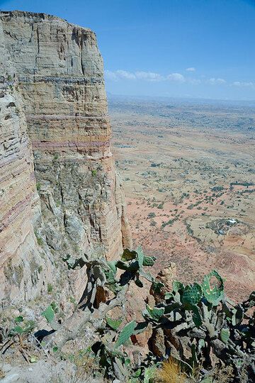 ethiopia_g12523.jpg (Photo: Tom Pfeiffer)