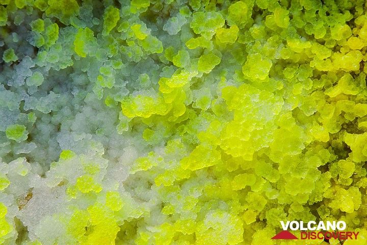 White, yellow and greenish salt crystals (Photo: Tom Pfeiffer)