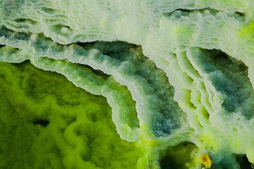 Bizarre arrangements of green salt ponds at Dallol hydrothermal field, Ethiopia (Photo: Tom Pfeiffer)