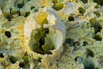 dallol_g9582.jpg (Photo: Tom Pfeiffer)