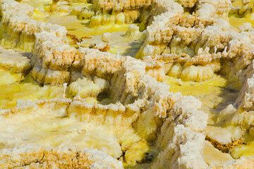 dallol_g9718.jpg (Photo: Tom Pfeiffer)