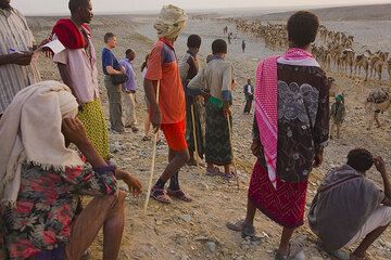 «Начальник озера» (Сумбахари) и группа помощников наблюдают за порядком выхода караванов в сторону соленого озера. (Photo: Tom Pfeiffer)