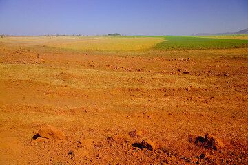 Red soil (Photo: Tom Pfeiffer)