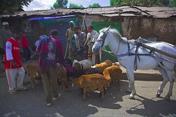 ethiopia_g9881.jpg (Photo: Tom Pfeiffer)