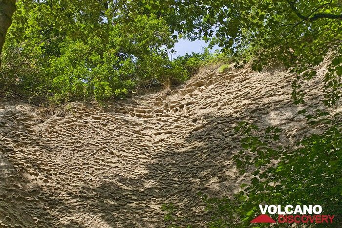 Signs of wind erosion in the pumice layers of the Laacher See eruption (Photo: Tobias Schorr)