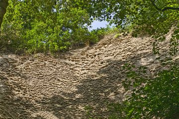 Signs of wind erosion in the pumice layers of the Laacher See eruption (Photo: Tobias Schorr)