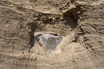 Impact of a volcanic bomb of the explosion of Laacher See volcano in 9900 B.C. (Photo: Tobias Schorr)