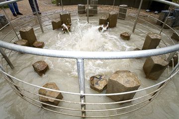 Le geysir Wallenborn d'eau froide "bouillante" (Photo: Tobias Schorr)