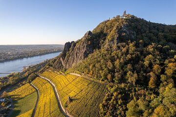 Der berühmte Drachenfels und seine Weinberge im Herbst 2021. Aus dem Latit-Gestein wurde auch der Kölner Dom erbaut. (Photo: Tobias Schorr)