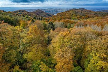 Paisaje otoñal de Siebengebirge ("Siete colinas"). (Photo: Tobias Schorr)