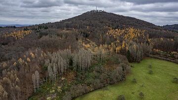 Die Landschaft des Siebengebriges im Herbst und des Vulkans Oelberg. (Photo: Tobias Schorr)