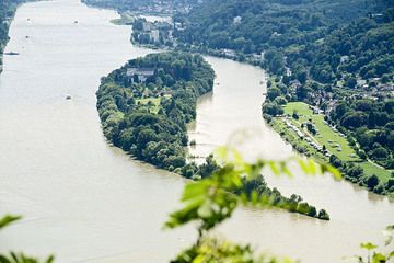 The island Nonnenwerth in the Rhine river (Photo: Tobias Schorr)
