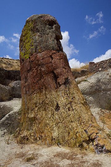 Giant petrified tree about 5 m in diameter on Lesbos island, Greece (July 2011) (Photo: Tom Pfeiffer)