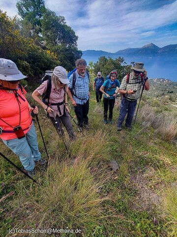 The Swiss group discovering a tortoise in the mountains of Methana. (Photo: Tobias Schorr)