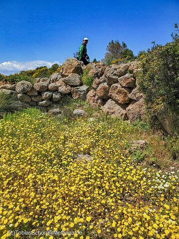 Tom profite du printemps dans les montagnes de Methana. (Photo: Tobias Schorr)