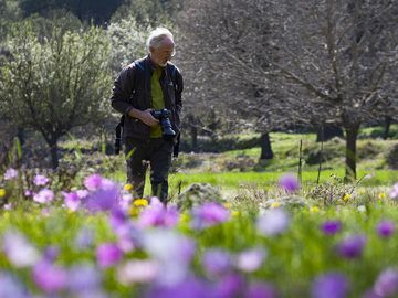 Paul in the anemones meadow at the Makrylongos valley on Methana. (Photo: Tobias Schorr)