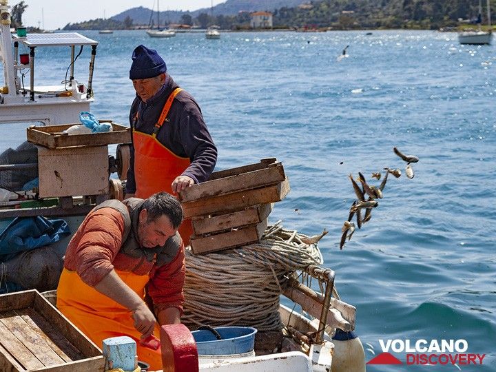 Fischer, der auf der Insel Poros unverkäuflichen Fisch zurück ins Meer wirft. (Photo: Tobias Schorr)