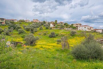 Taktikoupolis (Photo: Tom Pfeiffer)