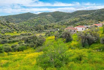 Fields of Taktikoupolis (Photo: Tom Pfeiffer)