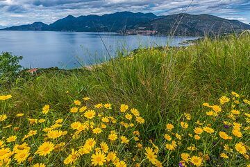 View back to Methana (Photo: Tom Pfeiffer)