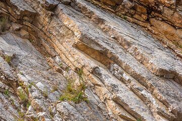 Banded limestone near Epidauros - ancient sea floor surfaces are visible. (Photo: Tom Pfeiffer)