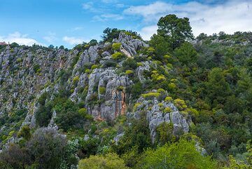 Vallée karstique de Nea Epidauros. (Photo: Tom Pfeiffer)