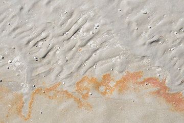 Stained ash layers (Photo: Tom Pfeiffer)